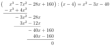 Durchführung Polynomdivision
